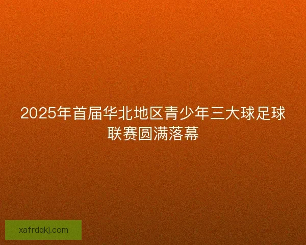2025年首届华北地区青少年三大球足球联赛圆满落幕