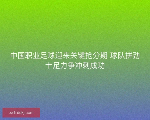 中国职业足球迎来关键抢分期 球队拼劲十足力争冲刺成功