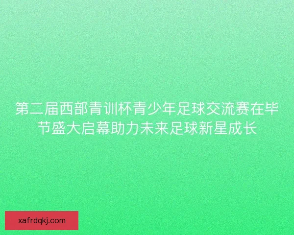 第二届西部青训杯青少年足球交流赛在毕节盛大启幕助力未来足球新星成长